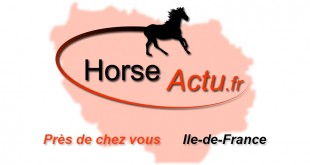 rencontre homme paris idf