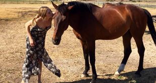 Cirka Z s'éteint à 27 ans après avoir fait le bonheur de Hannah Selleck (© Coll.)