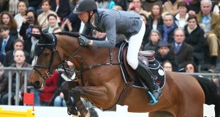 Kevin Staut s'impose à Los Angeles avec Elky van het Indihof (© Gilles Alleaume)