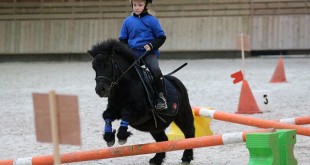 © Anchor Equitation