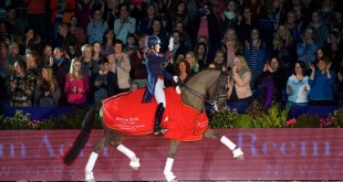 dressage